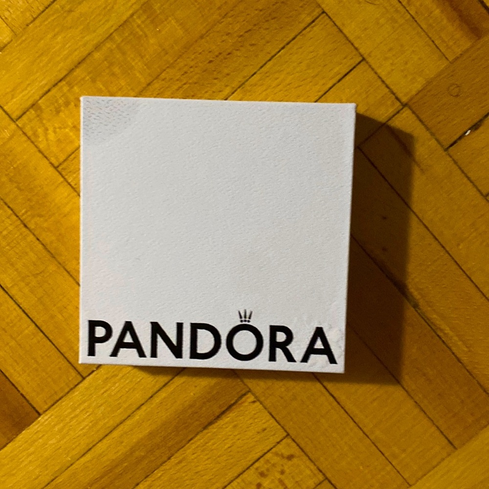 Comes with 2 pandora charms